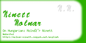 ninett molnar business card